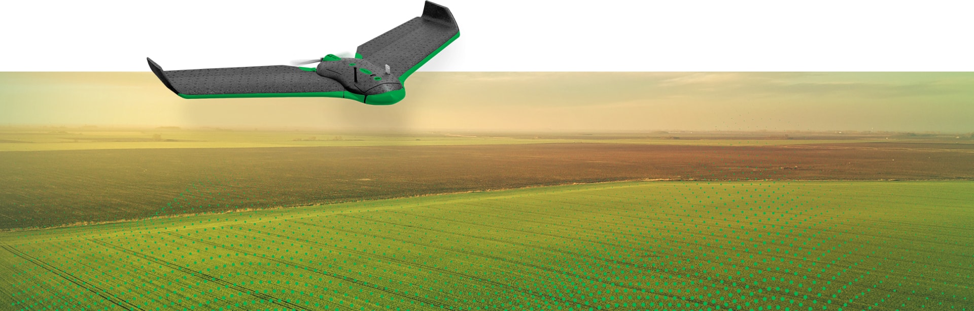 Política de cookies