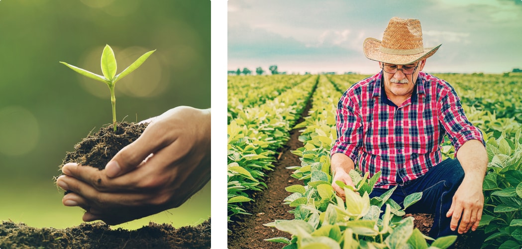NetWord Agro - Monitoramento de solos
