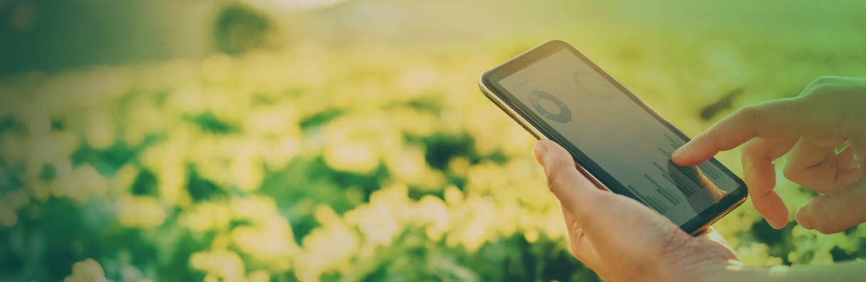 Monitoramento de lavouras