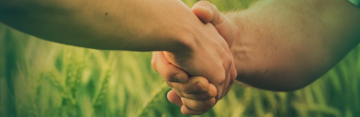 Política de cookies