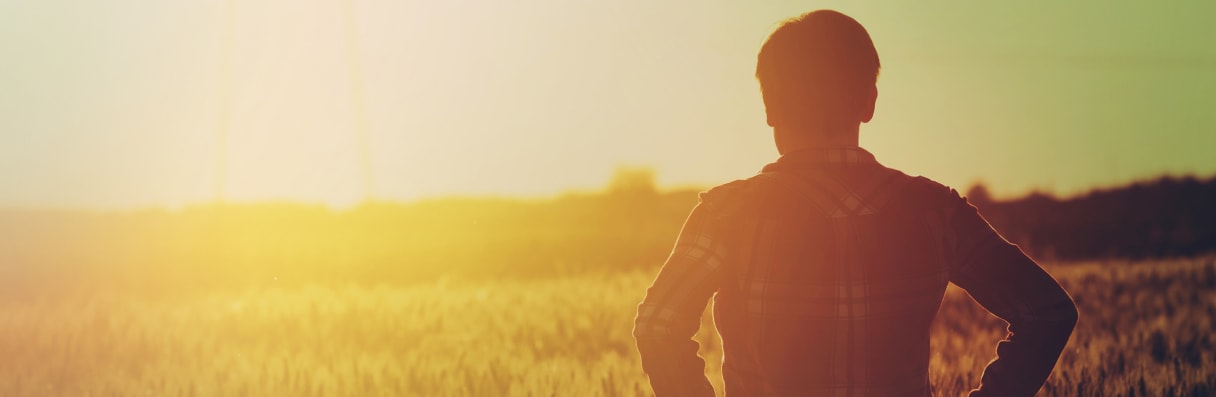 Sobre nós - NetWord Agro