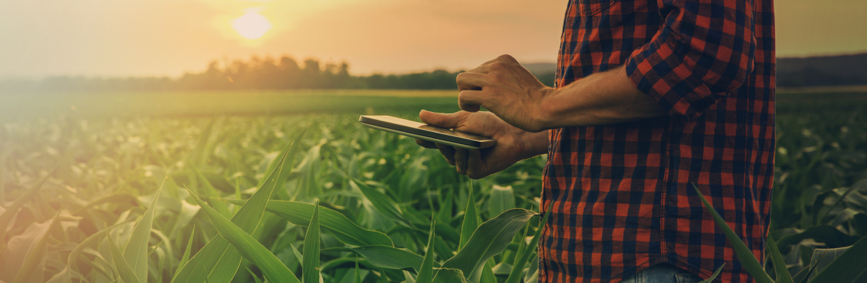 Solicite uma demonstração